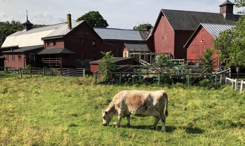 Council Awarded Climate Resilient Farming Grant Council Awarded Climate Resilient Farming Grant