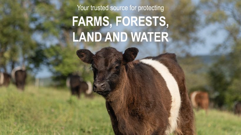 April 2020 ENews