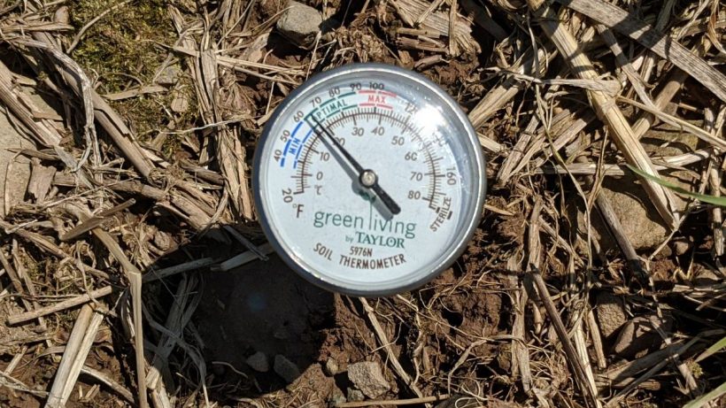 Corn Planting Time?