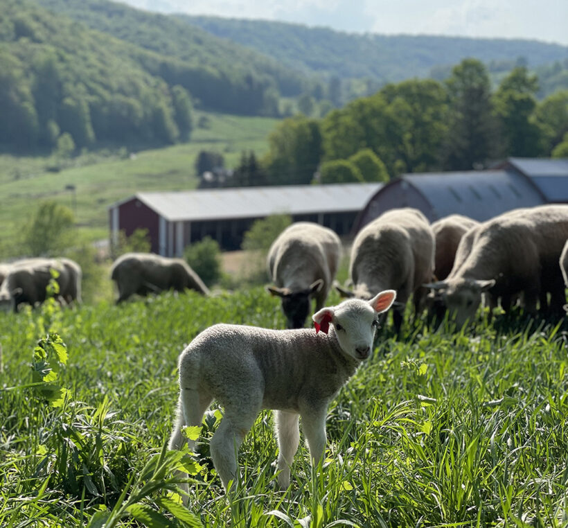 Economic Viability: Preparing for the Next Generation