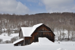 Winter Storm Stella3