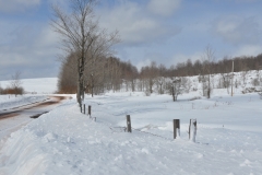 Winter Storm Stella15