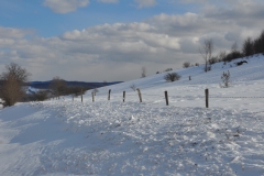Winter Storm Stella28